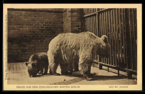 AK Berlin, Bärin mit Jungem im Zoologischen Garten