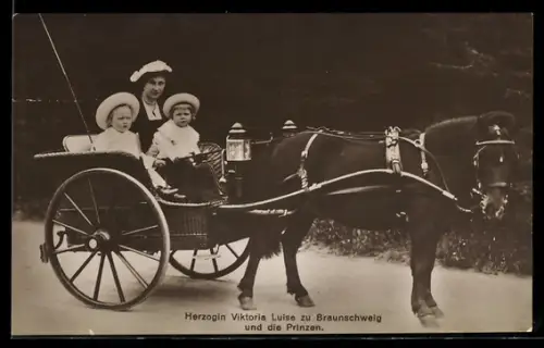 AK Victoria Louise Herzogin von Braunschweig und die Prinzen, Pferdegespann
