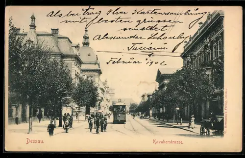 AK Dessau, Kavalierstrasse mit Strassenbahn