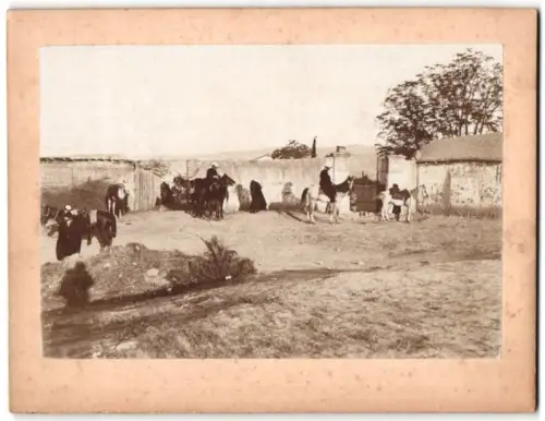 Fotografie unbekannter Fotograf, Ansicht Jericho, Gehöft am Stadtrand um 1897
