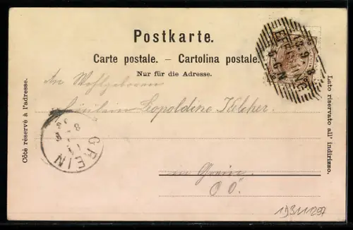 Lithographie Eferding, Ruine Schauenburg, Strassenpartien, Radfahrer