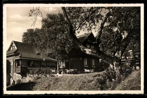 AK Bad Wildbad, Gasthaus Grünhütte