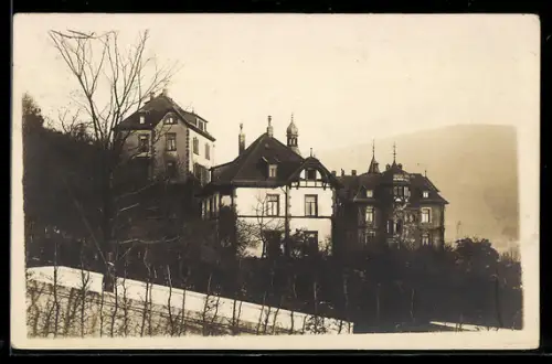 Foto-AK Heidelberg /Neckar, Villenpartie