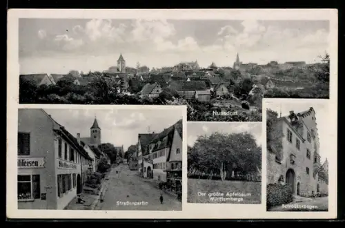 AK Nussdorf, Strassenpartie mit Gasthaus, Grösster Apfelbaum Württembergs, Schlosstorbogen
