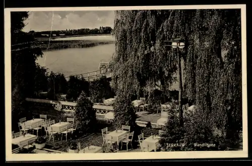 AK Wandlitzsee, Hotel-Restaurant Seekrug, Inhaber A. Klein, Blick auf den Garten am See