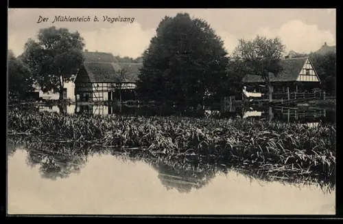 AK Vogelsang, Der Mühlenteich
