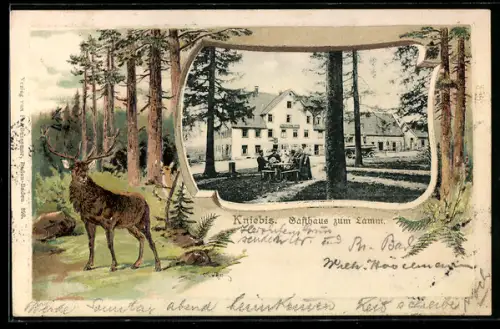 Passepartout-Lithographie Kniebis, Gasthaus zum Lamm und Hirsch