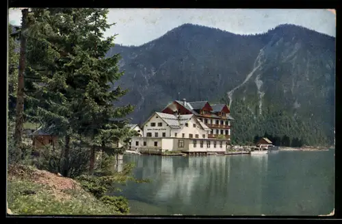 AK Plansee /Tirol, Hotel Forelle