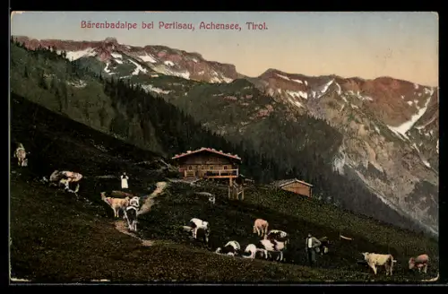 AK Pertisau, Bärenbadalpe mit Kühen und Bergpanorama