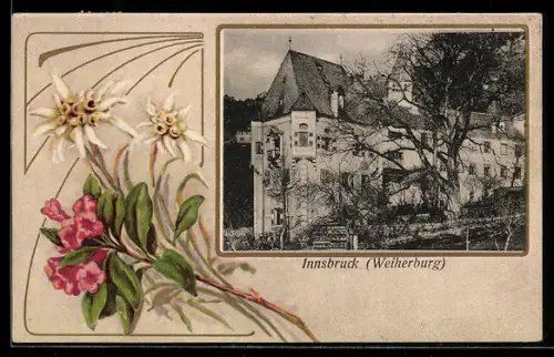 Lithographie Innsbruck, Weiherburg, Edelweiss, Ornamente