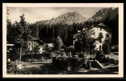 AK Lienz, Mittellaheim Jungbrunn mit Gebirgspanorama