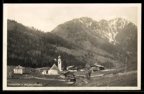 AK Wildschönau, Tierbach, Gesamtansicht mit Bergblick