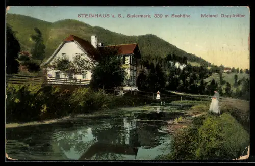 AK Steinhaus a. S., Meierei Dopplreiter vom Wasser aus