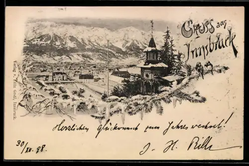 AK Innsbruck, Teilansicht im Winter, Vögel auf Tannenzweig