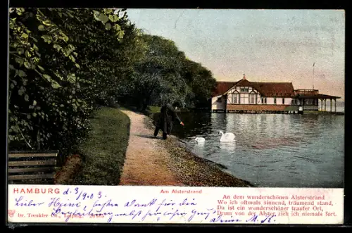 AK Hamburg, Alsterstrand, Gebäude mit Pavillon, Spaziergänger, Schwäne