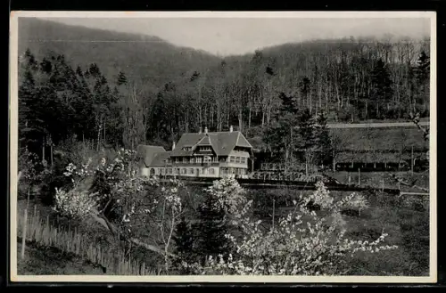 AK Freiburg i. Br., Waldrestaurant Jägerhäusle, Inh. Max Peter, Wald