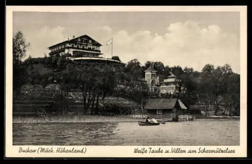 AK Buckow /Märk. Höhenland, Gasthof Weisse Taube und Villen am Schermützelsee