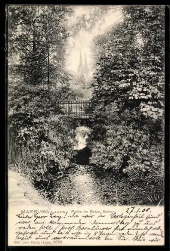 AK Marburg a. Lahn, Partie im Botaninschen Garten mit Brücke