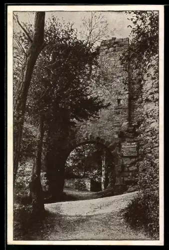 AK Greifenstein b. Bad Blankenburg, Haupt Eingangstor der Burgruine mit Bäumen