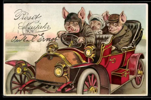 AK Schweine als Fahrgäste und Chauffer in einem Automobil, vermenschlichte Tiere