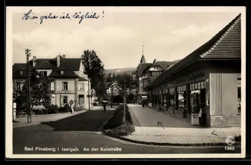 AK Bad Flinsberg /Isergeb., An der Kurstrasse, Geschäfte mit AK-Verkauf, Haus Luginsland