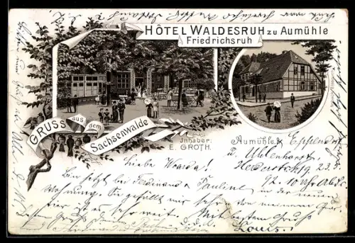 Lithographie Aumühle /Sachsenwald, Hotel Waldesruh, Inh. E. Groth, Friedrichsruh