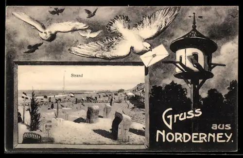 Grusskarten-AK Norderney, Strand mit Strandkörben und Aussicht auf die Nordsee, Tauben mit Brief
