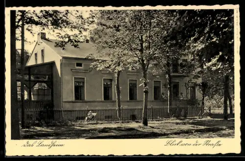 AK Fichtengrund /Oranienburg, Schullandheim Dorothea, Blick von der Strasse