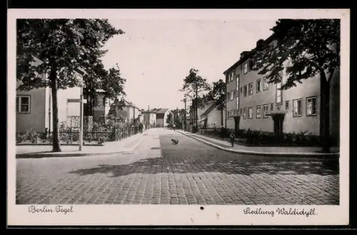 AK Berlin-Tegel, Bernauer Strasse Ecke Oelder Weg, Siedlung Waldidyll