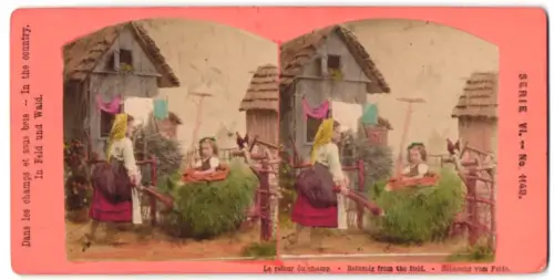 Stereo-Fotografie unbekannter Fotograf und Ort, Serie In Feld und Wald, Serie VI, Nr. 1149, Heimkehr vom Felde