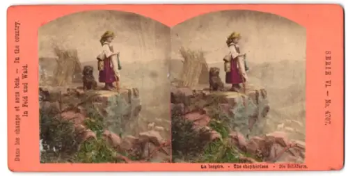 Stereo-Fotografie unbekannter Fotograf und Ort, Serie In Feld und Wald, Serie VI, Nr. 4707, Die Schäferin