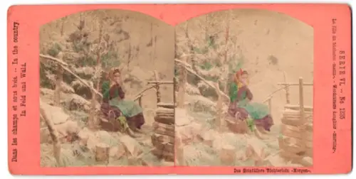 Stereo-Fotografie unbekannter Fotograf und Ort, Serie In Feld und Wald, Serie VI, Nr. 1235, Des Holzfällers Töchterlein