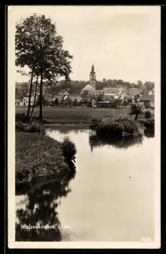 AK Waizenkirchen /O. Ö., Panorama mit Kirche und Teich