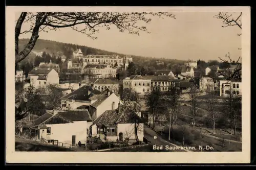 AK Bad Sauerbrunn /N.-Do., Ortsansicht aus der Vogelschau