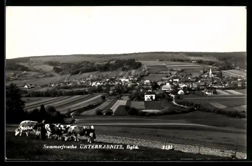 AK Unterrabnitz /Bgld., Panorama mit Feldern, Ort und Kirche