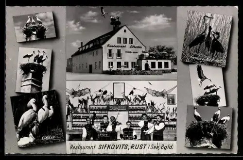 AK Rust am Neusiedler See, Restaurant Sifkovits, Trachten-Musikgruppe, Storchennester