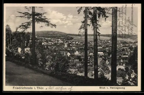 AK Friedrichroda i. Thür., Blick vom Herzogsweg auf den Ort
