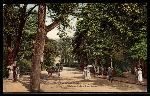 AK Bad Freienwalde, Strassenpartie mit Hotel Landhaus