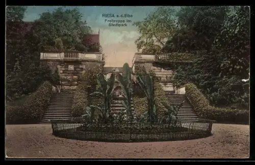 AK Riesa, Freitreppe im Stadtpark