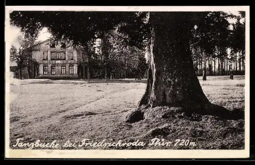 AK Friedrichroda /Thür., Gasthof Tanzbuche am Wald