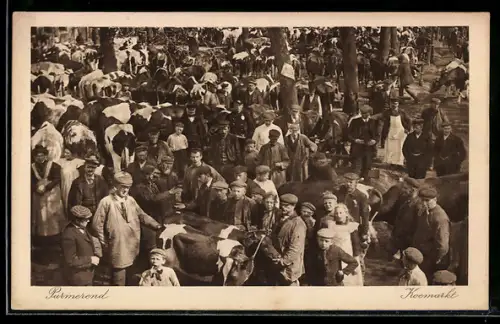 AK Purmerend, Koemarkt