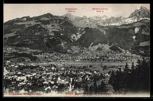 AK Näfels, Totalansicht, Gebirge, Mollis und Fronalpstock, Neuenkamm, Mürtschenstock