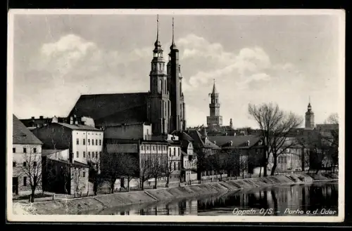 AK Oppeln, Partie an der Oder, Kathedrale