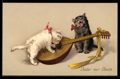 AK Katzen singen Lieder zur Laute