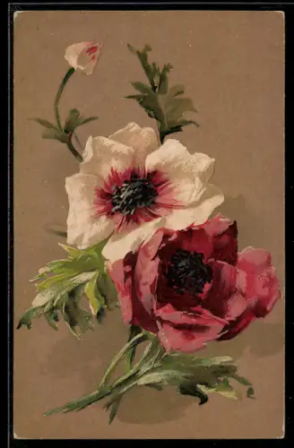 AK Buchstabe P und Blüten