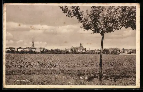 AK Salzwedel, Stadtansicht mit Kirche und Feldern