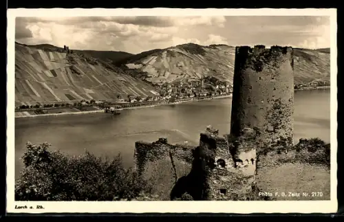 AK Lorch a. Rh., Burgruine am Rhein