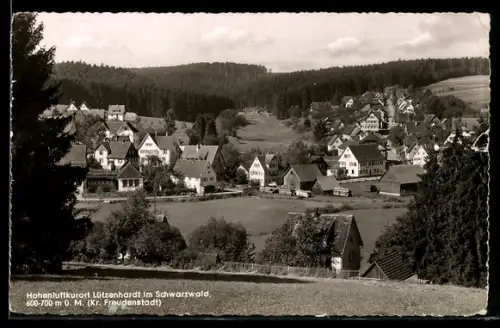 AK Lützenhardt im Schwarzwald, Hohenluftkurort, Ortsansicht