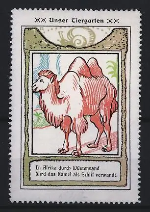 Reklamemarke Unser Tiergarten, In Afrika durch Wüstensand, Verwendung des Kamels als Schiff