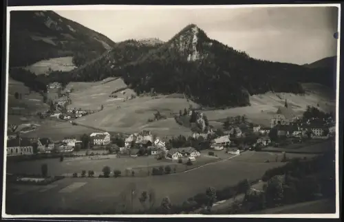 Fotografie unbekannter Fotograf, Ansicht Neuberg / Mürz, Panorama am Rand der Ortschaft